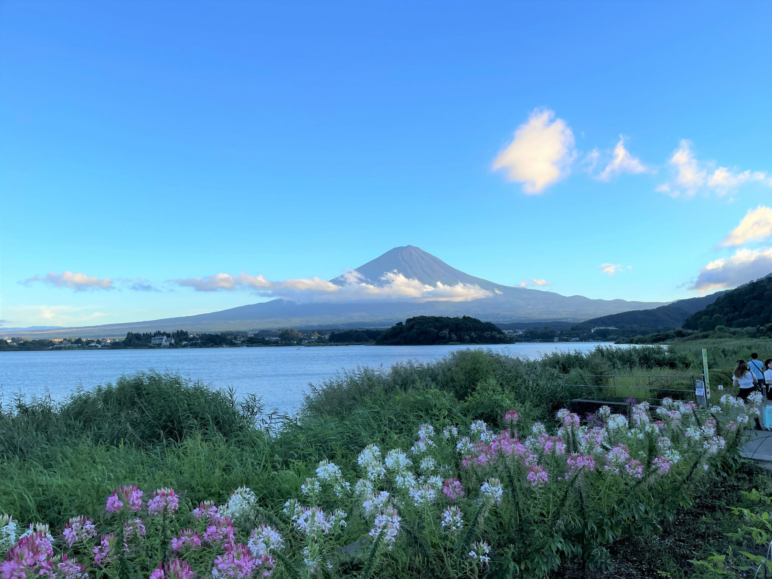 Fuji mountain scene